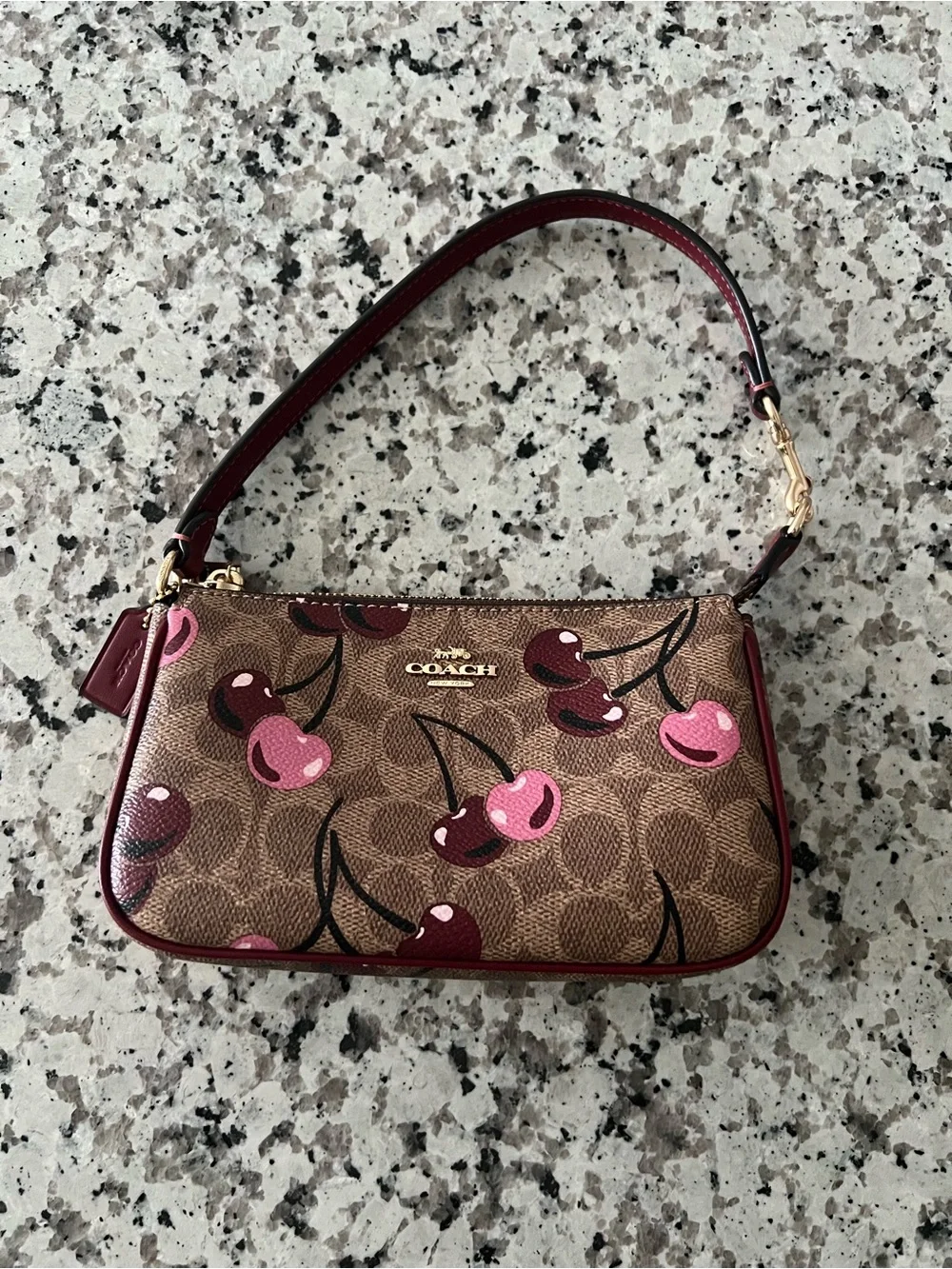 COACH Nolita 19 In Signature Canvas With Cherry Print Pre Owned